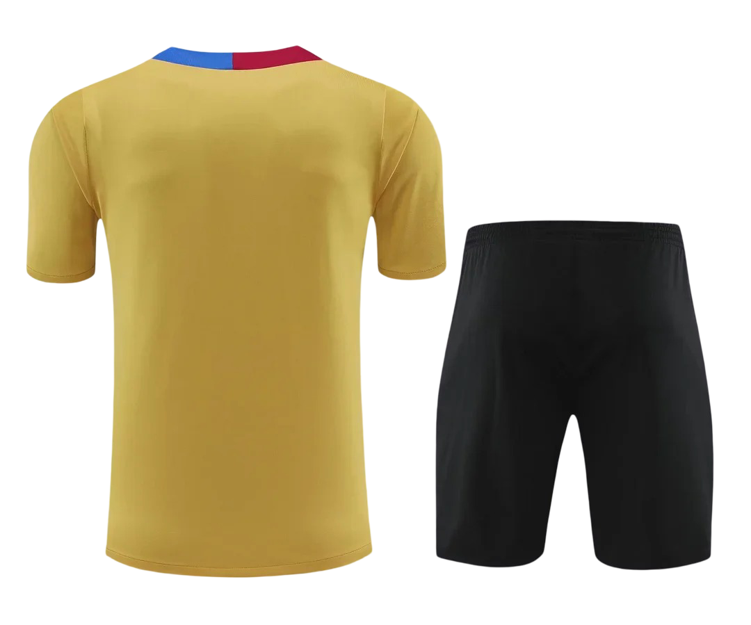 2024/2025 Barcelona Pre-Match Entrenamiento Kit