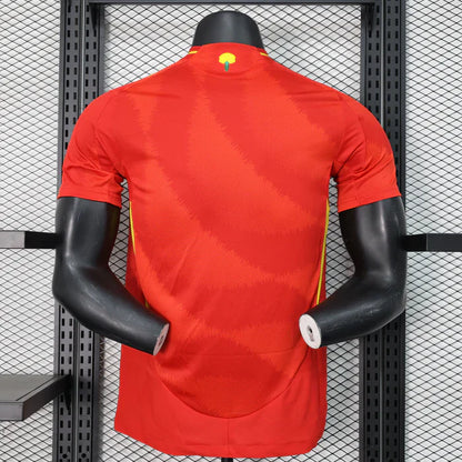 Spain 2024/2025 Local Kit