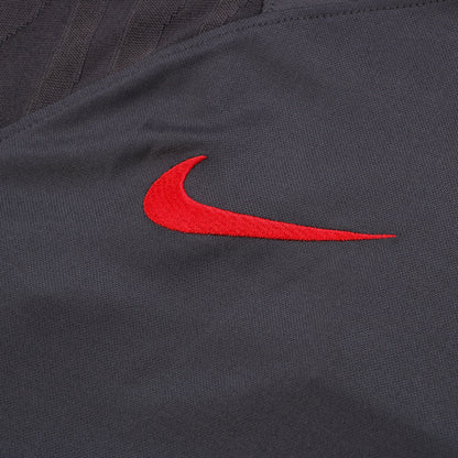 PSG Paris Saint Germain Grey Chándal