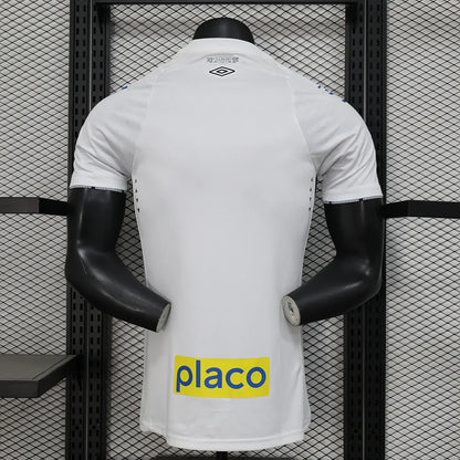 Santos 2024/2025 Local